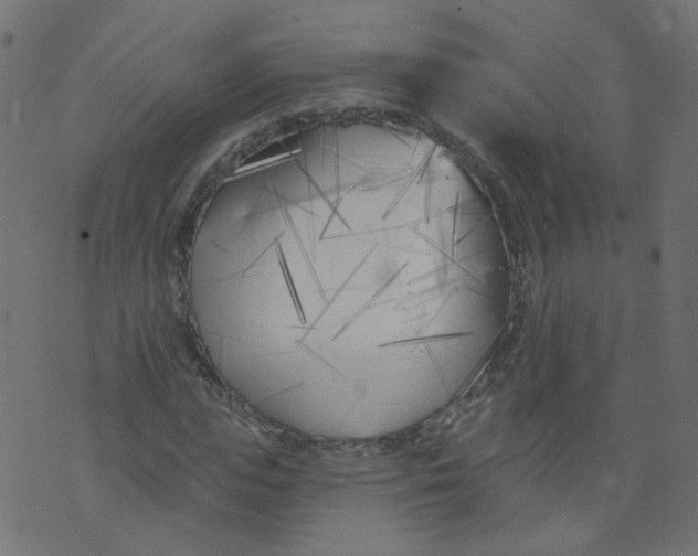 X0000073460823200608251729