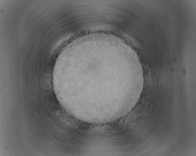 X0000073460824200608251729