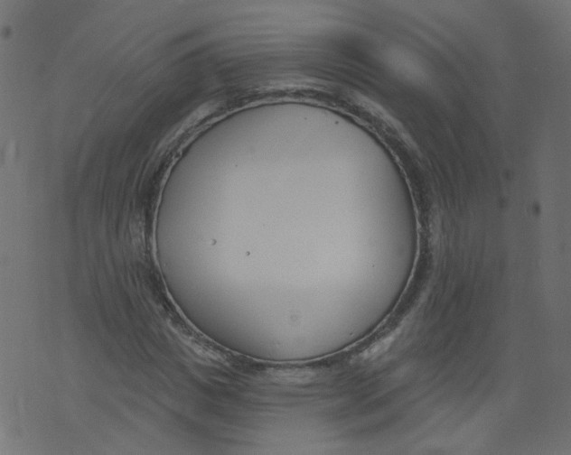 X0000073460825200608251729