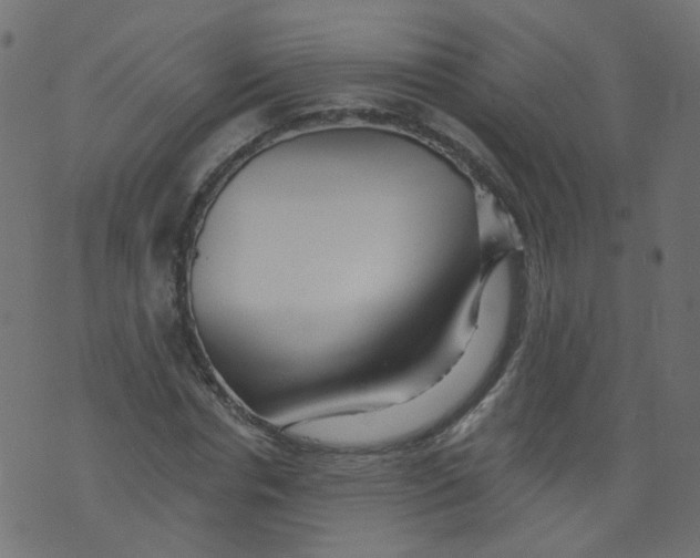 X0000073460826200608251729