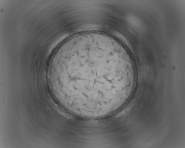 X0000073460827200608251729