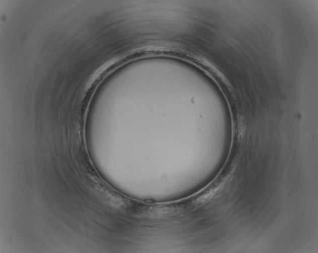 X0000073460829200608251729