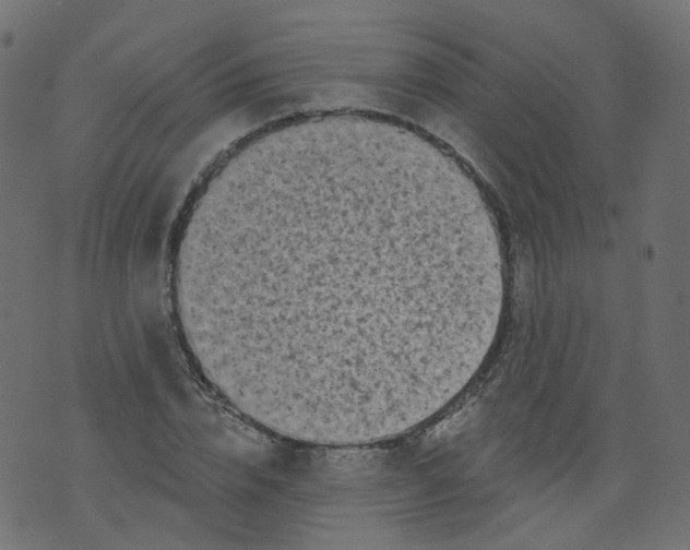 X0000073460832200608251729