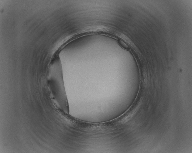 X0000073460834200608251729