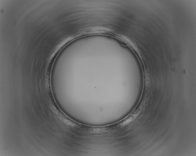 X0000073460835200608251729