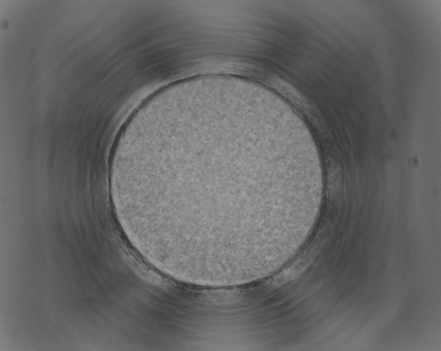 X0000073460836200608251729