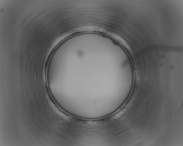 X0000073460839200608251730