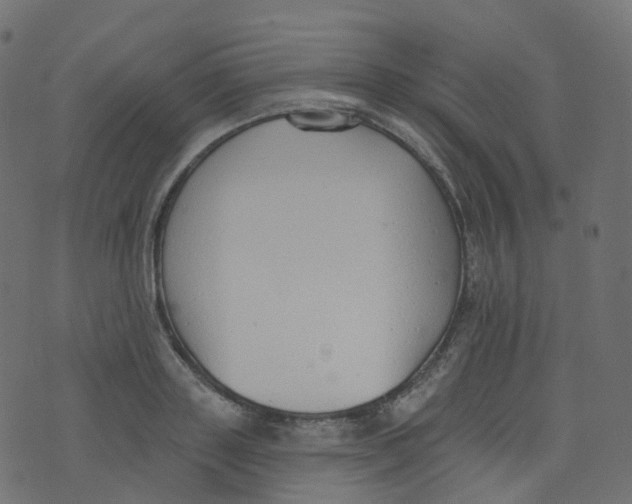 X0000073460843200608251730