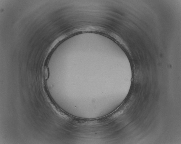 X0000073460845200608251730