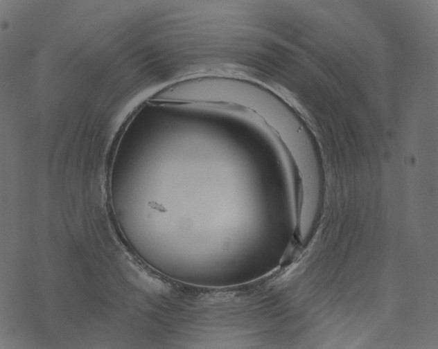 X0000073460846200608251730