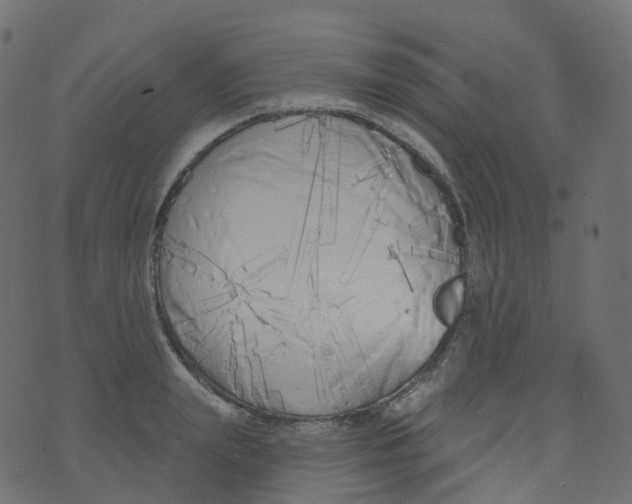 X0000073460847200608251730