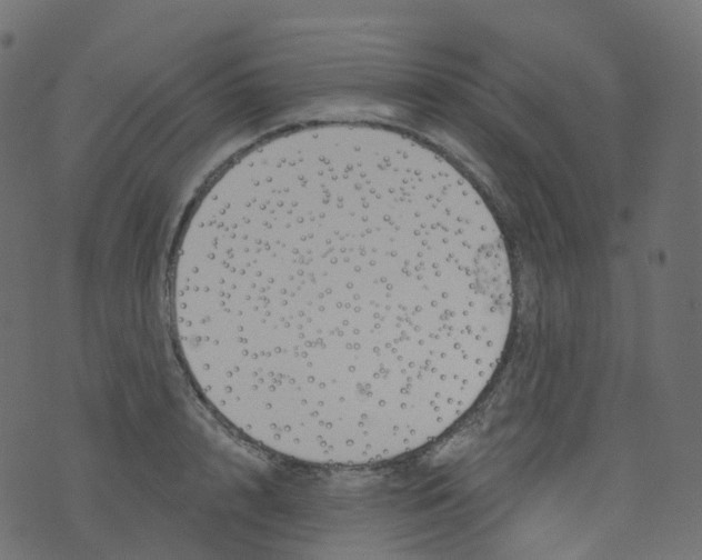 X0000073460848200608251730