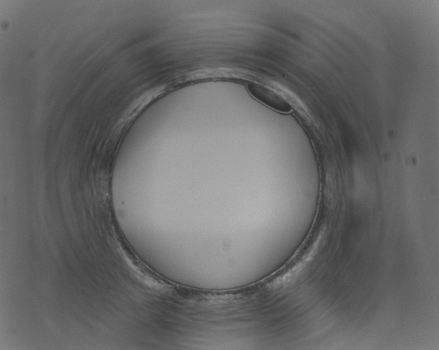 X0000073460849200608251730