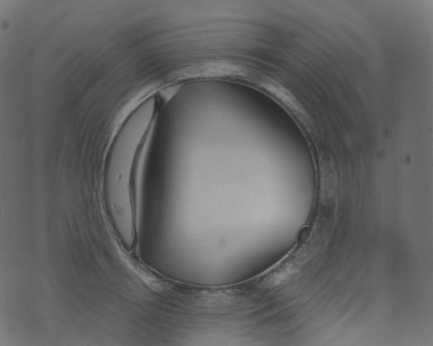 X0000073460850200608251730