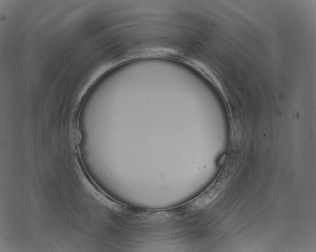 X0000073460851200608251730