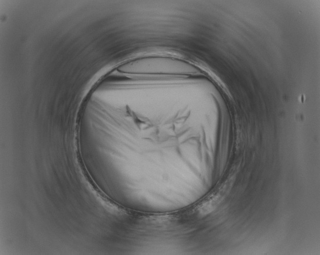 X0000073460853200608251730