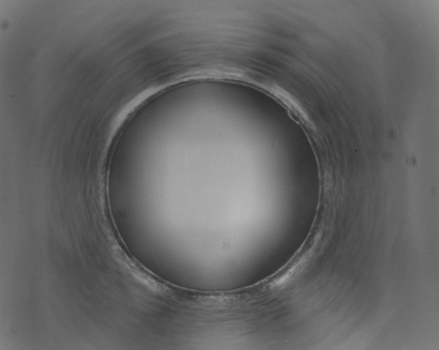 X0000073460854200608251730