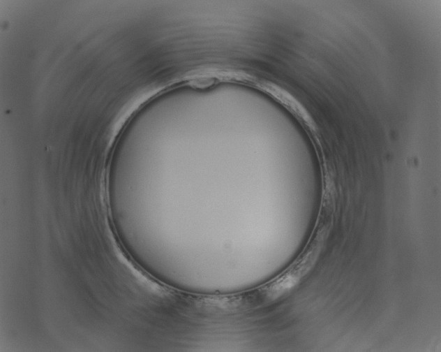 X0000073460855200608251730