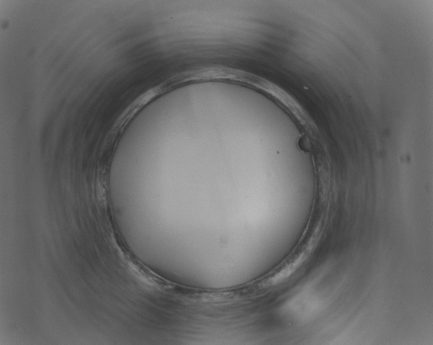 X0000073460857200608251730