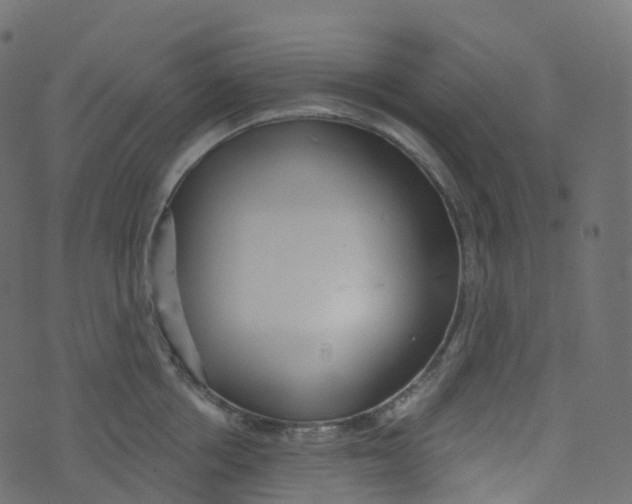 X0000073460858200608251730