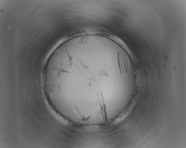 X0000073460859200608251730