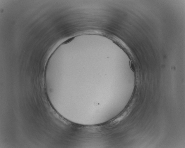 X0000073460860200608251730