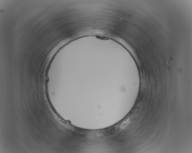 X0000073460861200608251730