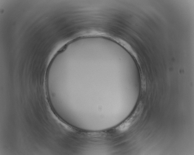 X0000073460863200608251730