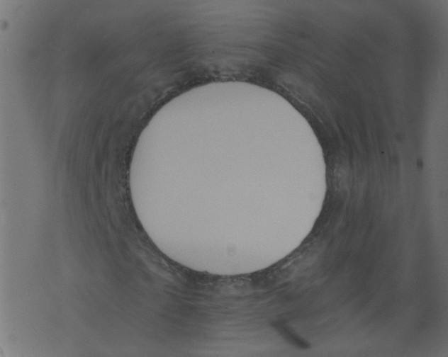 X0000073460865200608251729