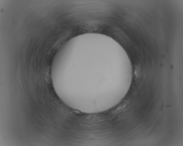 X0000073460867200608251729