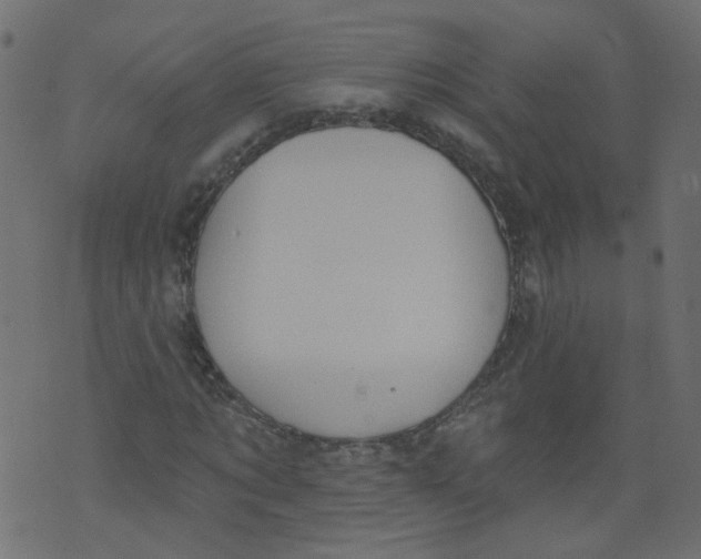 X0000073460869200608251729