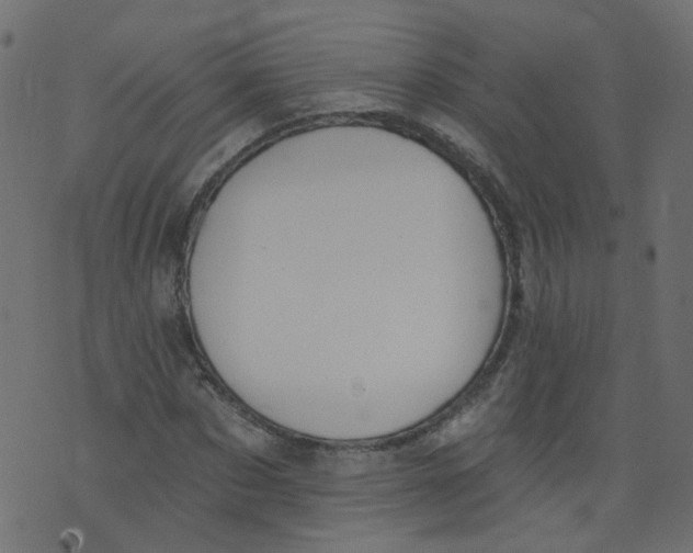 X0000073460873200608251729