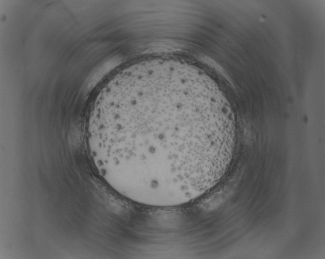 X0000073460874200608251729