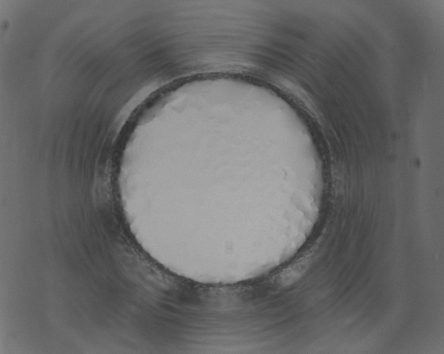 X0000073460875200608251729