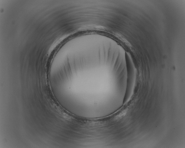 X0000073460877200608251729