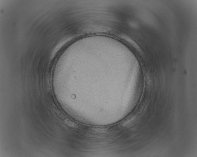 X0000073460878200608251729