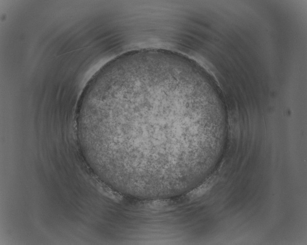 X0000073460879200608251729