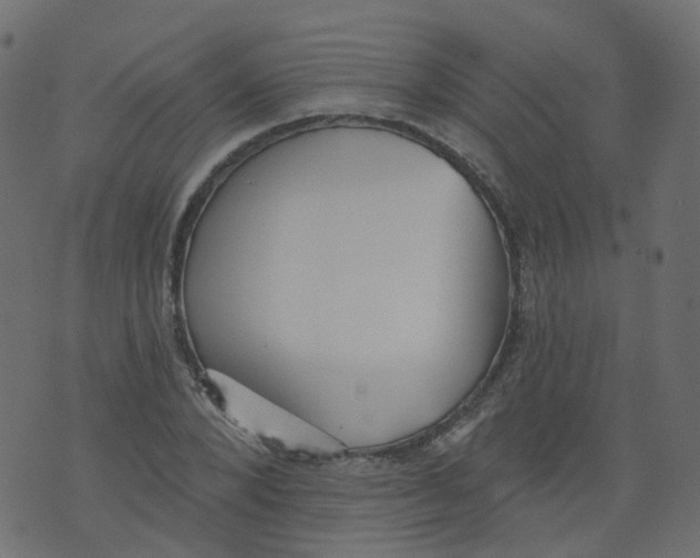 X0000073460880200608251729