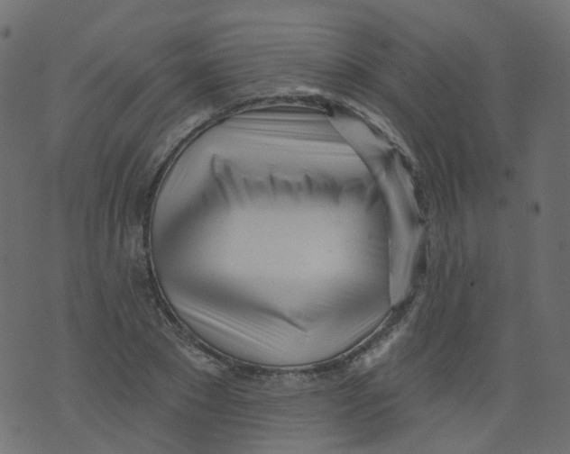 X0000073460881200608251729