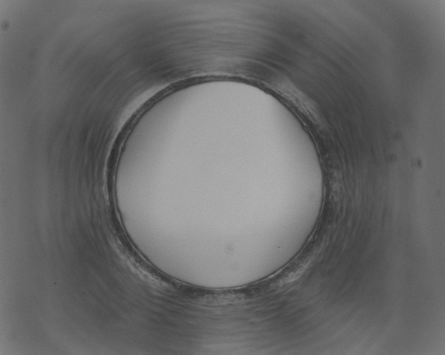 X0000073460884200608251729