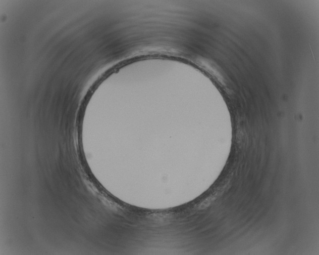 X0000073460888200608251729