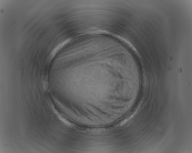 X0000073460889200608251729