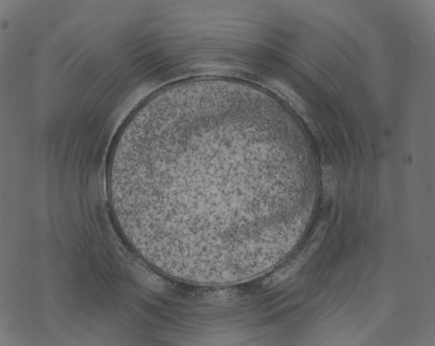 X0000073460891200608251729