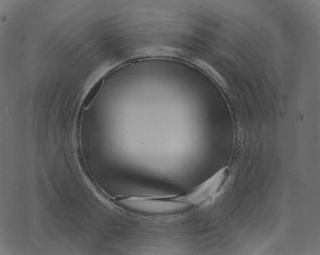 X0000073460893200608251729