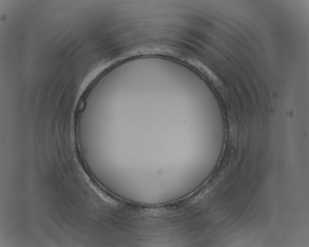 X0000073460894200608251729