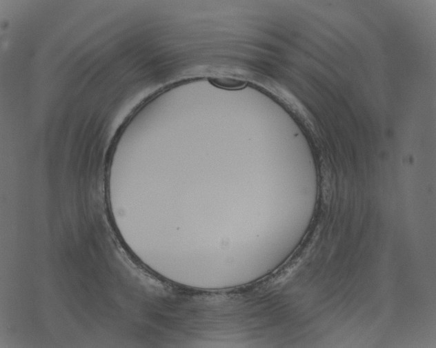 X0000073460896200608251729