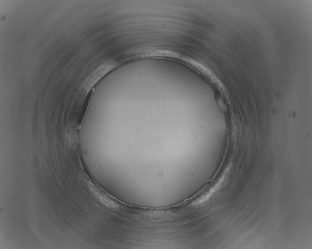 X0000073460897200608251729