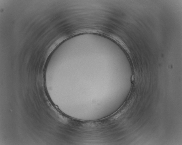 X0000073460898200608251729