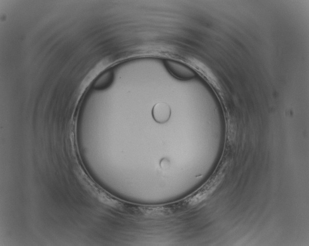 X0000073460899200608251729