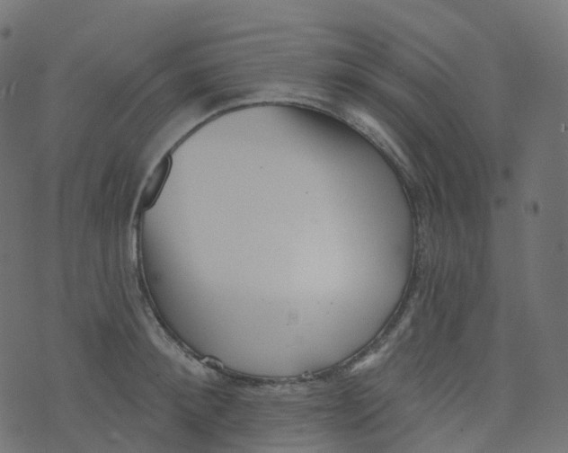 X0000073460900200608251729